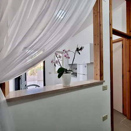 Aparthotel Amica *